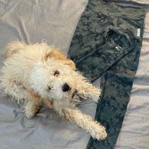 Gymshark Adapt Camo Seamless
